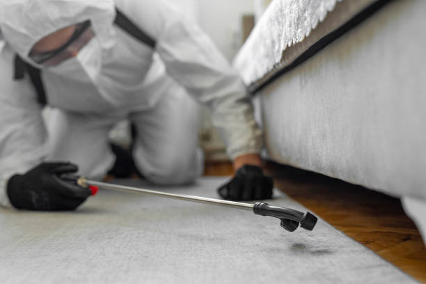 Professional Termite Control technician working in Morgantown, KY