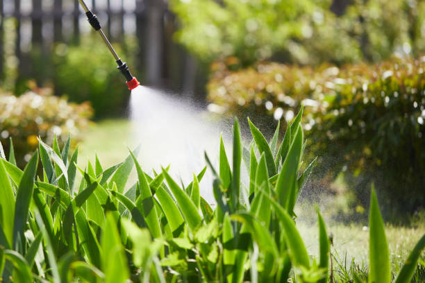 24/7 Emergency Termite Control experts in Morgantown, KY