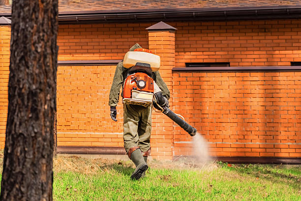 Top rated local Termite Control specialists in Morgantown, KY